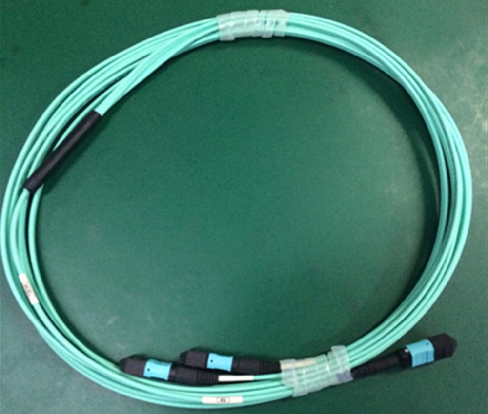 MTP Y-Cable