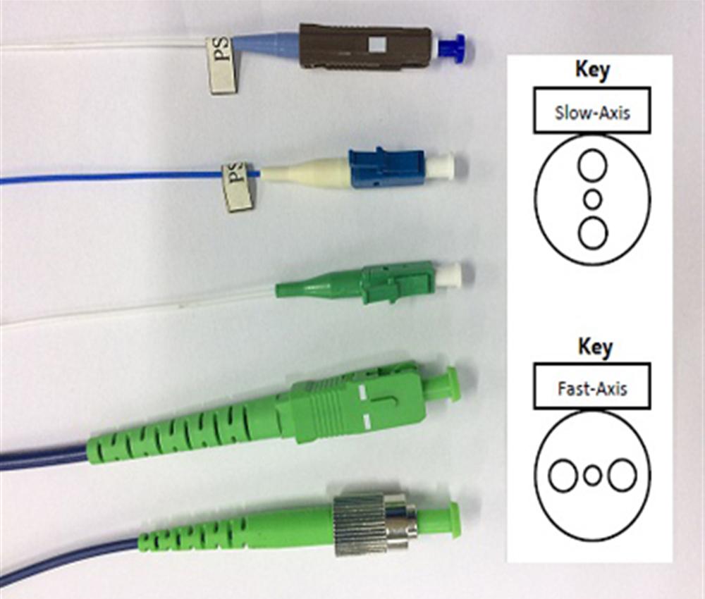 PM Patch cord