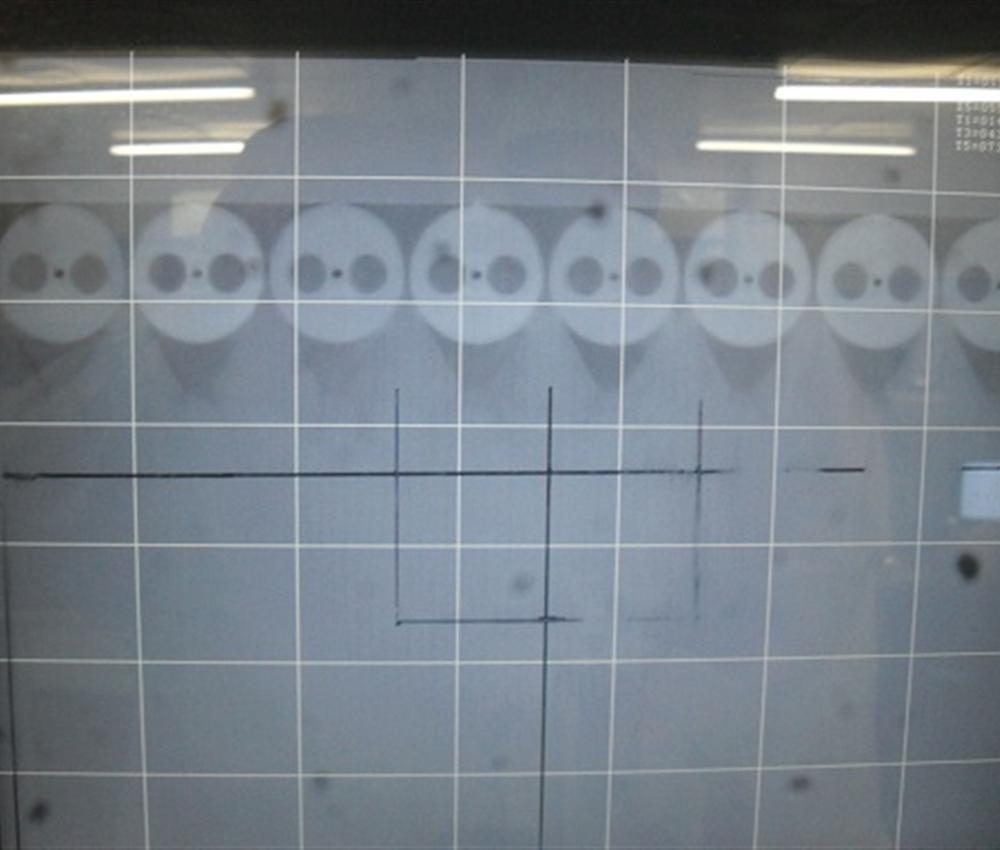 PM Fiber Arrays
