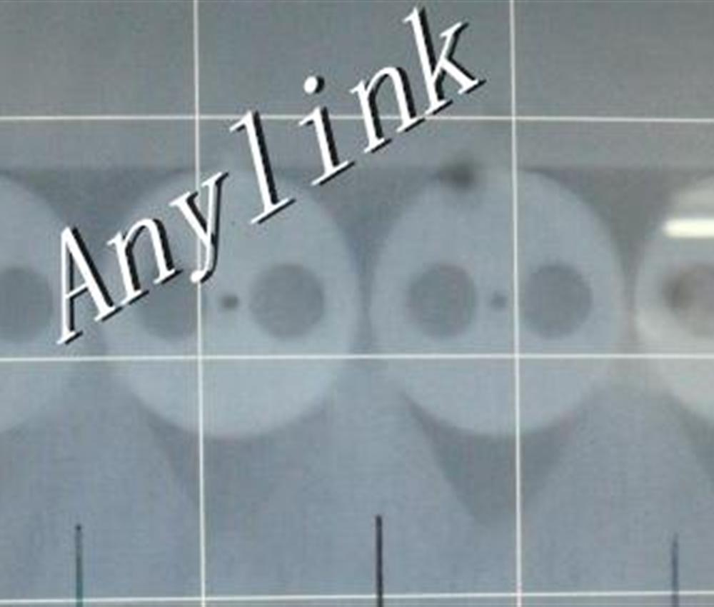 PM Fiber Arrays